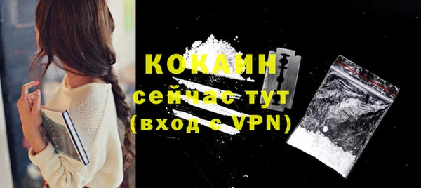 прущие грибы Беломорск
