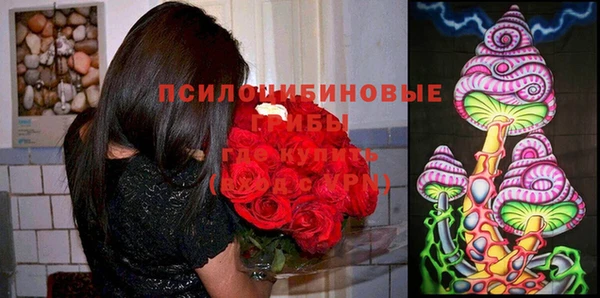 герыч Белокуриха