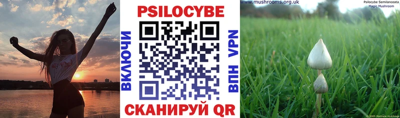 где продают наркотики  Нефтекумск  Псилоцибиновые грибы Magic Shrooms 